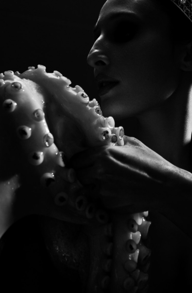 Octopus-Dance-2