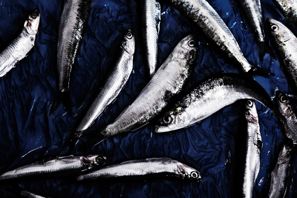 macro-pescados
